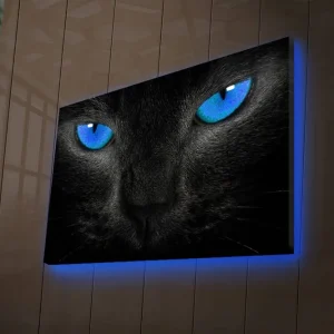 Expressleverans Canvastavla med LED-belysning 45x70 cm - Svart katt med intensiva blå ögon Svart / Blå - Inredning