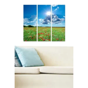 Canvastavla i trä 3-delar 50x70 cm - Blomstrande äng med röda och vita blommor under en klar blå himmel - Inredning & dekor Fynd