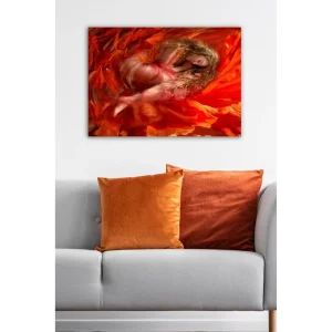 Begränsat erbjudande Dekorativ Canvastavla 50x70 cm - Inredning & dekor