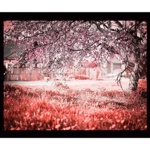 Beställ idag Inramad Canvastavla i trä - 41x56 cm - Blommande körsbärsträd i en drömlik landskapsmiljö - Inredning & dekor