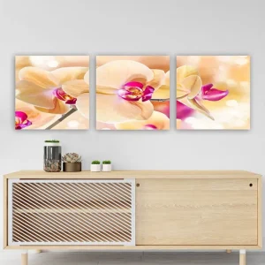 Säker betalning Dekorativ Canvastavla 3-Delar 30x30 cm - Inredning & dekor
