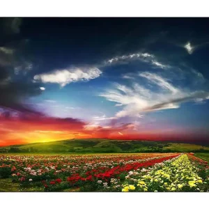 Canvastavla 70x100 cm - Färgstark solnedgång över ett blomsterfält med varierande blommor i förgrunden - Inredning & dekor Endast idag