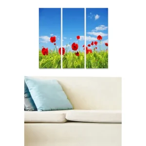 Canvastavla i trä 3-delar 50x70 cm - Röd vallmo i en grön äng under en klarblå himmel - Inredning & dekor Expressleverans