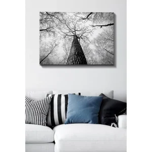 Canvastavla 70x100 cm - Svartvit bild av ett träd som sträcker sig upp mot en ljus himmel, sedd från marken - Inredning & dekor Utförsäljning