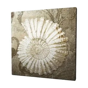 Canvastavla 45x45 cm - Snäcka med detaljerad struktur på en mjuk bakgrund - Inredning & dekor Premium