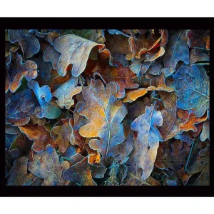 Snabb frakt Inramad Canvastavla i trä - 41x56 cm - Färgglada höstlöv i en harmonisk komposition - Inredning & dekor