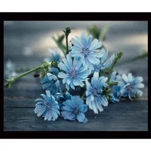 Begränsat antal Inramad Canvastavla i trä - 41x56 cm - Blommor i mjuka blå nyanser - Inredning & dekor