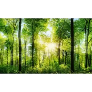 Tavla Forest - Inredning & dekor Expressleverans