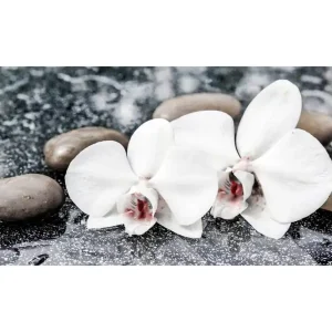 Tavla Brown Stones - Inredning & dekor Erbjudande