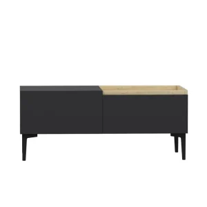 Sista chansen Mijara Tv-bänk 160x37 cm Svart Hanah Home - Möbler