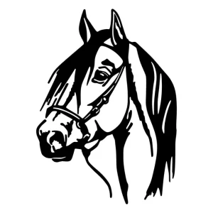 Sista chansen Horse Head Väggdekor - Inredning & dekor