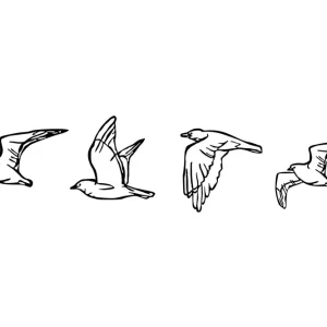 Birds Väggdekor - Inredning & dekor Snabb frakt